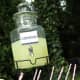 bbq-party-ideas