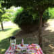 bbq-party-ideas