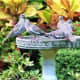 Birdbath merriment