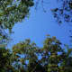 ...and the sky was the brightest blue