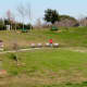 Looking across from trail at benches and hillside above Bray’s Amphitheater