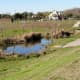 Wetland Garden