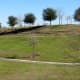 Picnic tables and bench on top of the hill in McClendon Park &gt; This side overlooks the sports fields &gt; Opposite side, the Amphitheater