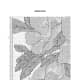 free-cross-stitch-pattern-azalea-label-art