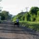 Road In Costa Rica