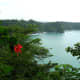 Beautiful Views Are Around Every Corner In Costa Rica