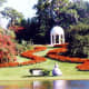 The beautiful Cypress Gardens