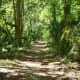 vacationing-in-florida-the-sunshine-state-florida-attractions