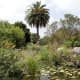 A green oasis, Jardin Botanico Canario.