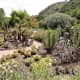 The lower level of Jardin Botanico Canario.