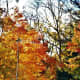 reflections-of-autumn-warm-colors-harvest-time-fireplaces-and-savory-stews