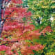 reflections-of-autumn-warm-colors-harvest-time-fireplaces-and-savory-stews