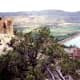 Escalante Petrified Forest State Park ~ Yes, there is petrified wood found there!