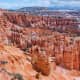 View of the Bryce Canyon