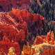 Autumn colors in SW Utah...Cedar Breaks National Monument from the 10,460-foot rim