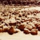 Goblin Valley State Park in Utah ~ Do you see all the people playing and climbing on those rocks? It is another one of Utah's wonderlands!