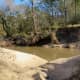 Sandy banks near Cypress Creek In Maxwell Park