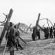 German troops building beach obstacles along the beach.