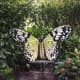 Butterfly bench at tha Conservation Center.