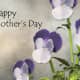 How to Make a Mother's Day Card