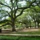 Views of the park