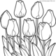 best-free-summer-coloring-pages