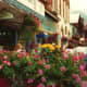 Bountiful flowers!