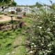 View of the butterfly garden