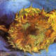 &quot;Two Cut Sunflowers&quot; - September 1887