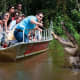 Cajun Encounters Swamp Tours
