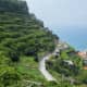 Terraced hillside of the Amalfi Coast, lemon trees