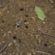 The holes show where the cicadas have been living while they grew.