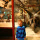 The author's six-year-old son at the Natural History Museum.