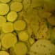 Layering zucchini over the onions