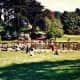 Strybing Arboretum Photo