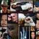 lets-talk-about-separating-art-from-the-artist-a-controversial-look-into-the-past-future-of-hollywood