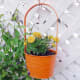 You can hang plants from a trellis or lattice.