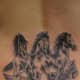 horse-tattoos-and-designs-horse-tattoo-meanings-and-ideas-horse-tattoo-gallery