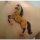 horse-tattoos-and-designs-horse-tattoo-meanings-and-ideas-horse-tattoo-gallery