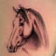 horse-tattoos-and-designs-horse-tattoo-meanings-and-ideas-horse-tattoo-gallery