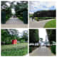 Sculpture Garden in Washington D.C.
