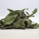 Dry stevia leaves