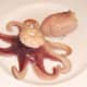 Poached and cooled octopus