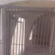 Terrifying Jails