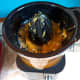 review-of-the-magiccos-750w-food-processor