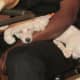 Snuggles, the Fulford's dog can support the client through relaxation upon the client's request. He is also a hyper-allergenic dog which does not effect people with pet allergies. One client specifically puts Snuggles on her lap for relaxation.