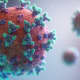 top-5-things-which-boost-your-immunity