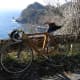 wood_made_bicycles
