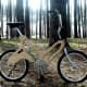 Wooden bike