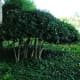 les-jardins-de-maizicourt-a-secret-garden-set-right-in-the-heart-of-the-picardie